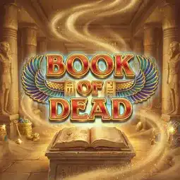 Book of Dead gra w Snatch Casino dla graczy z Polski Book of Dead gra w Snatch Casino dla graczy z Polski