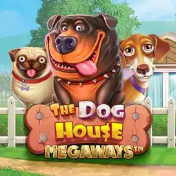 The Dog House Megaways gra w Snatch Casino dla graczy z Polski The Dog House Megaways gra w Snatch Casino dla graczy z Polski